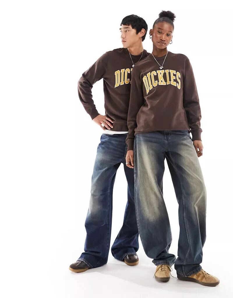 

Коричневый свитшот Dickies Aitkin с вышитым логотипом колледжа