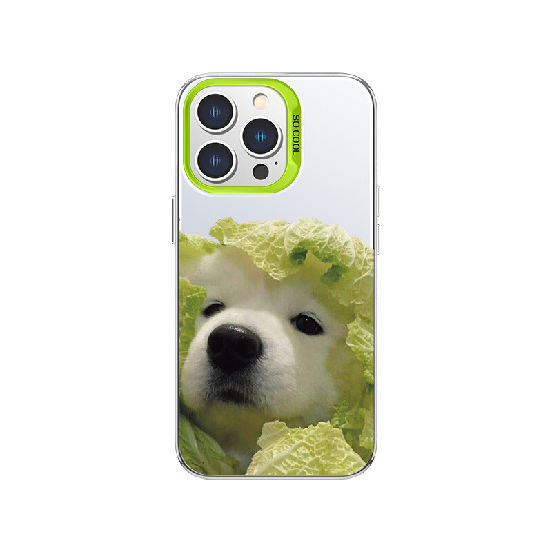 

Чехол для телефона MSMF Us 10 Cents Msmf, DWFQCY151-Color silver white green box