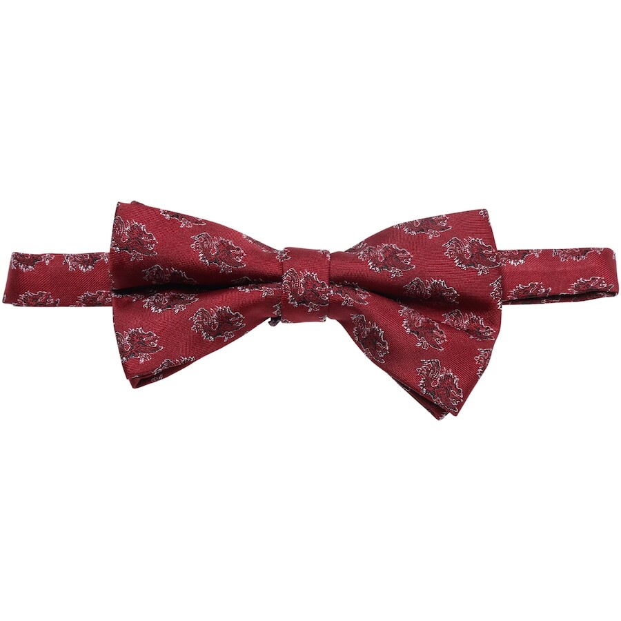 

Галстук Eagles Wings South Carolina Gamecocks