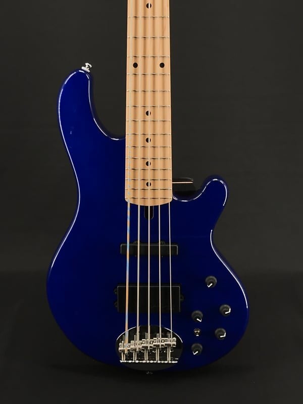 

Басс гитара Lakland Skyline 55-02 Deluxe in Transparent Blue with Maple Fretboard