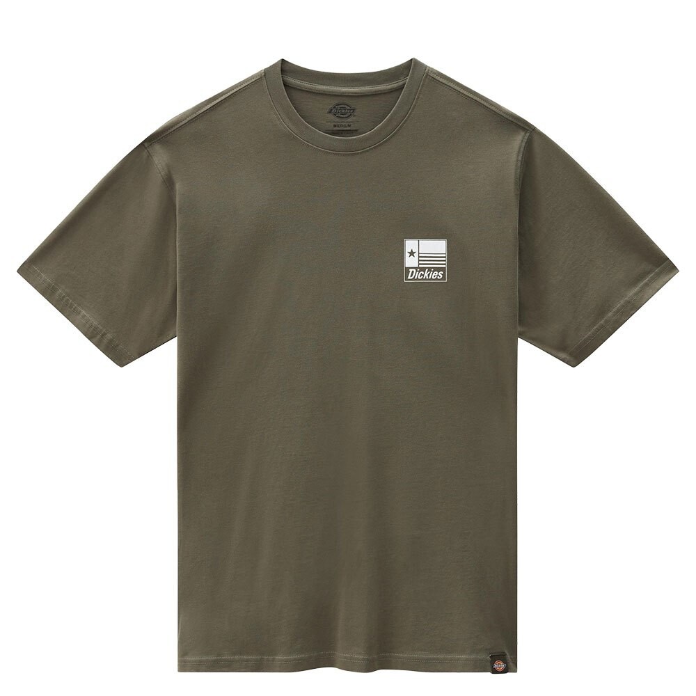 

Футболка Dickies Taylor, зеленый