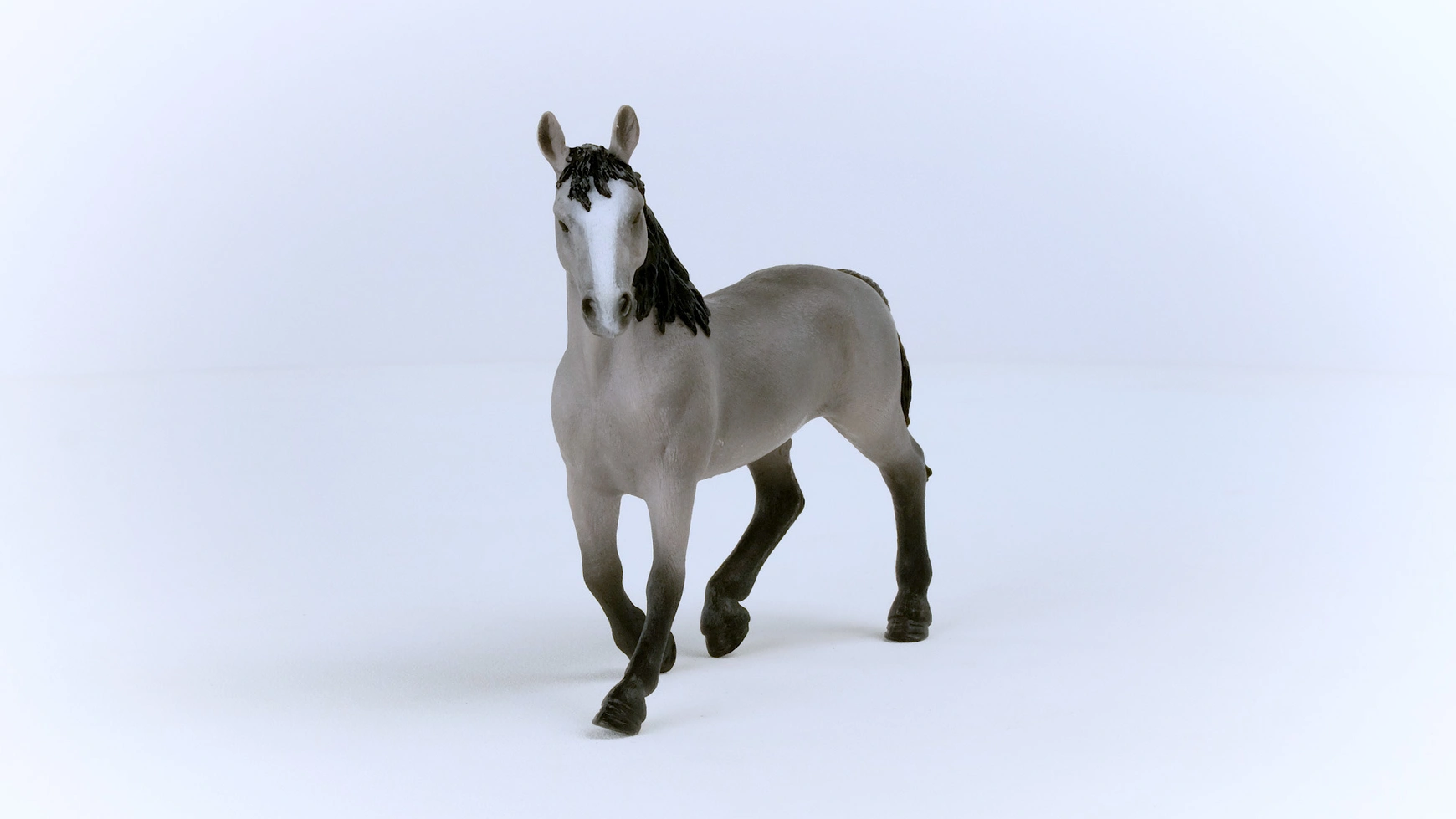 Конь 2023. Скачки спорт. Horse 2023. 2023 год конь с джигитом. Клички коней.
