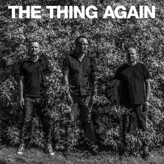 Виниловая пластинка The Thing - Again старый винил the thing records the thing mono 2lp used