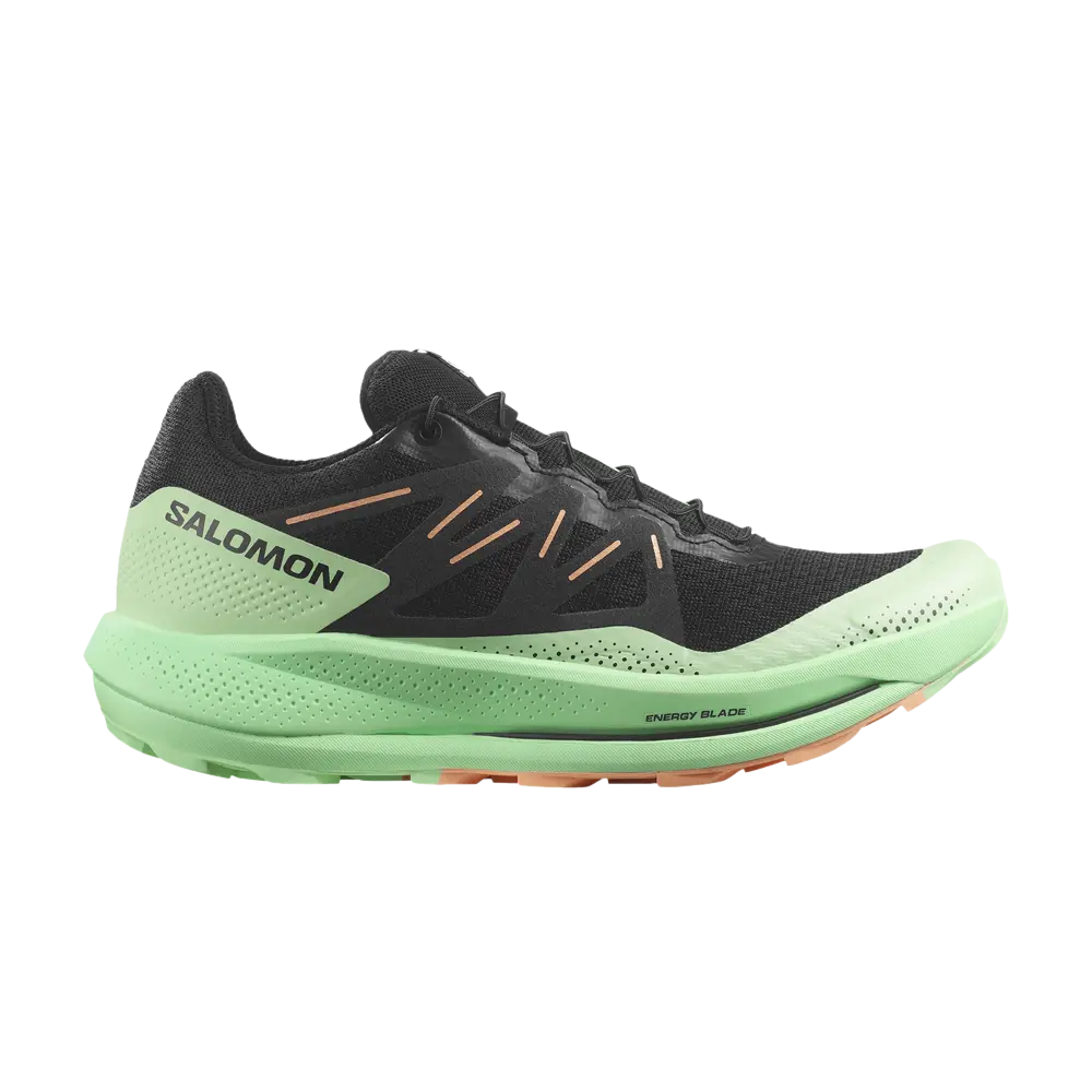 

Кроссовки Wmns Pulsar Trail Salomon, черный