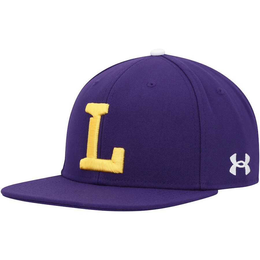 

Бейсболка Under Armour Lipscomb Bisons, фиолетовый
