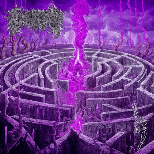 

Виниловая пластинка Civerous: Maze Envy