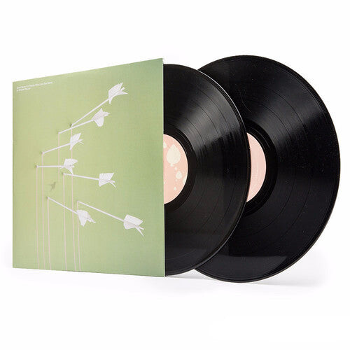 

Виниловая пластинка Modest Mouse: Good News for People Who Love Bad News