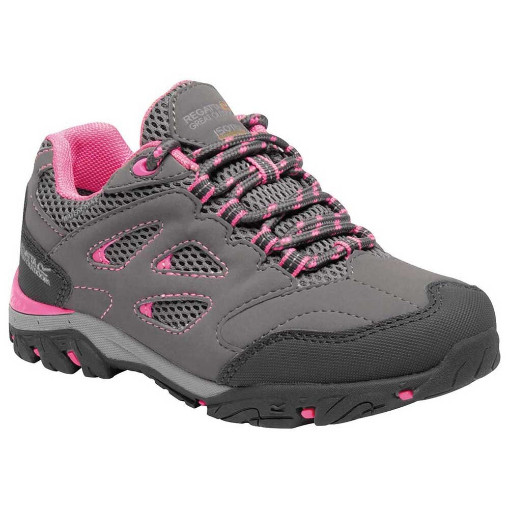 

Походная обувь Regatta Holcombe IEP Low, серый