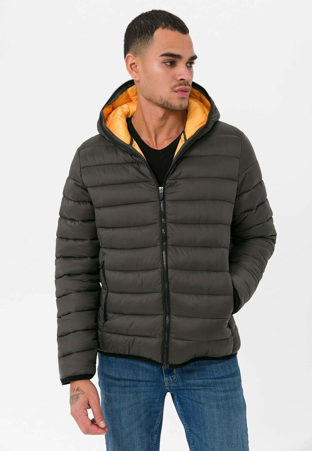 

Зимняя куртка Regular Fit Daniel Hills, цвет dark khaki