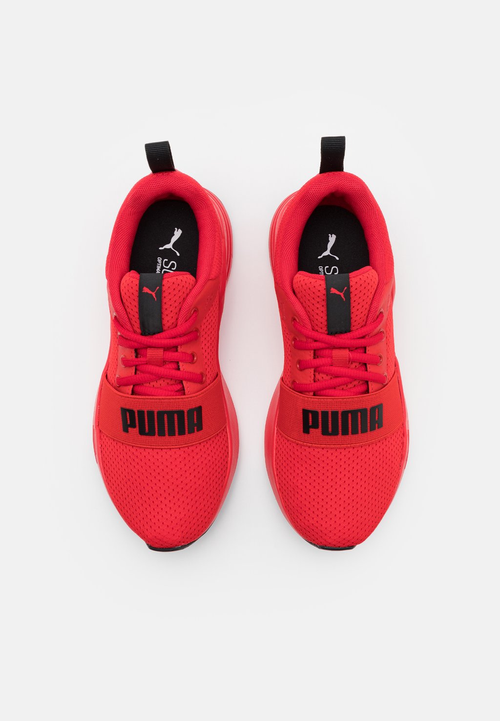 Puma wired