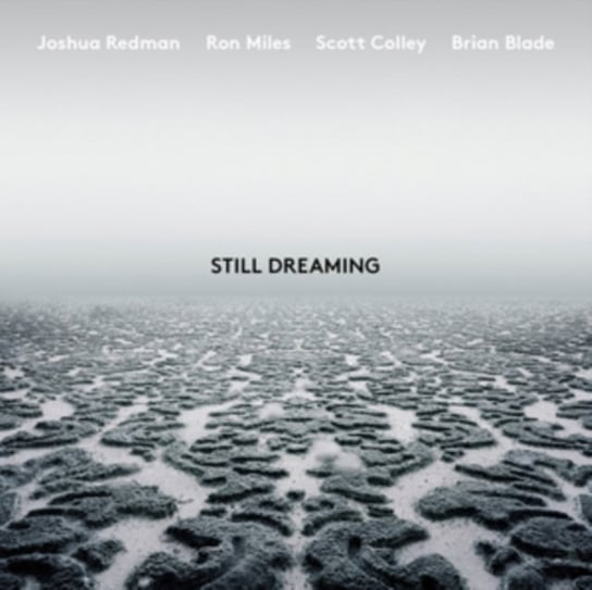 Виниловая пластинка Redman Joshua - Still Dreaming