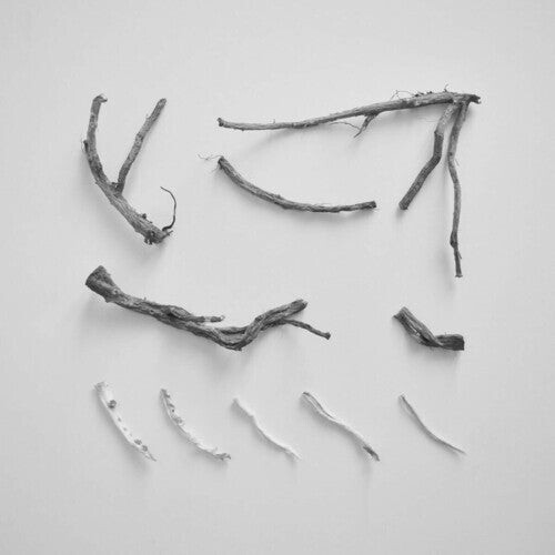 

Виниловая пластинка Skelton, Richard: These Charms May Be Sung Over A Wound