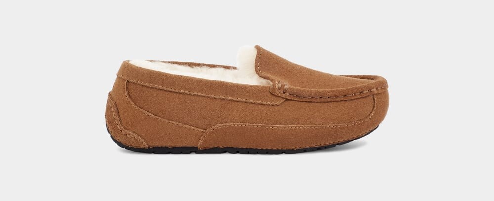 

Домашние тапочки Ascot UGG, коричневый