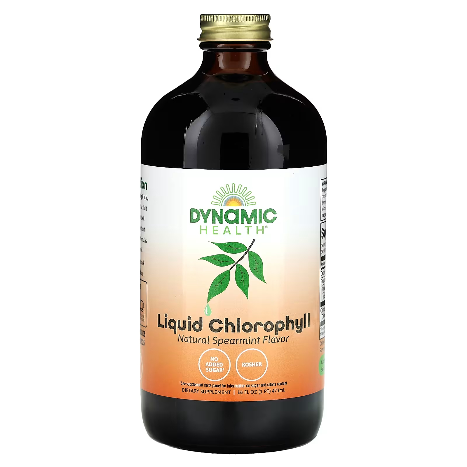 цена Пищевая добавка Dynamic Health Liquid Chlorophyll Natural Spearmint
