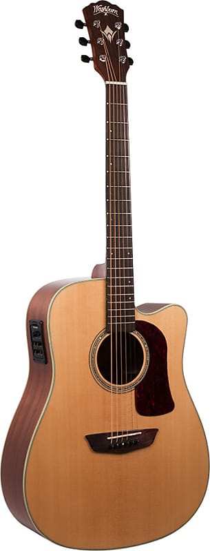 Акустическая гитара Washburn Heritage D100SWCE w/Case фото