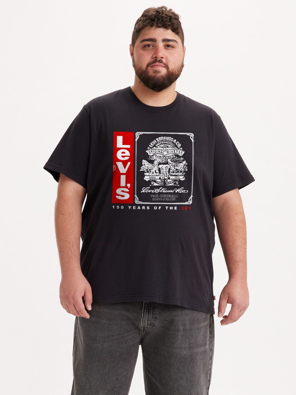 

Футболка свободного кроя Big & Tall с короткими рукавами Levi's, черный/мульти