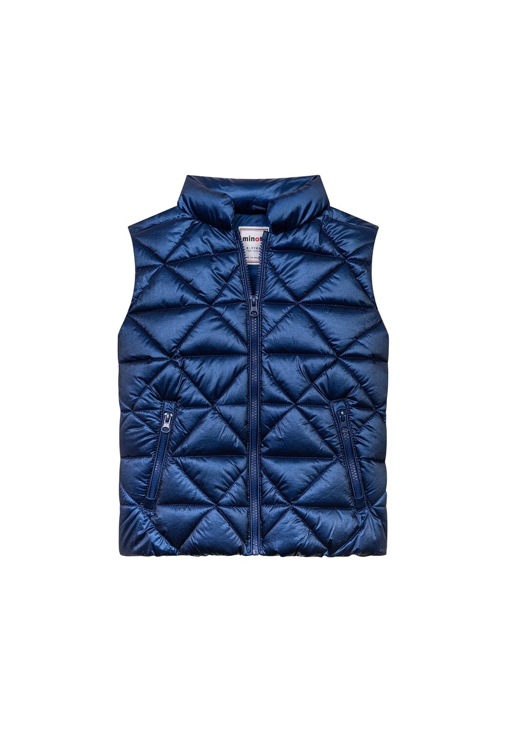 

Утепленный жилет Minoti Funktions 12GILET 1, темно синий