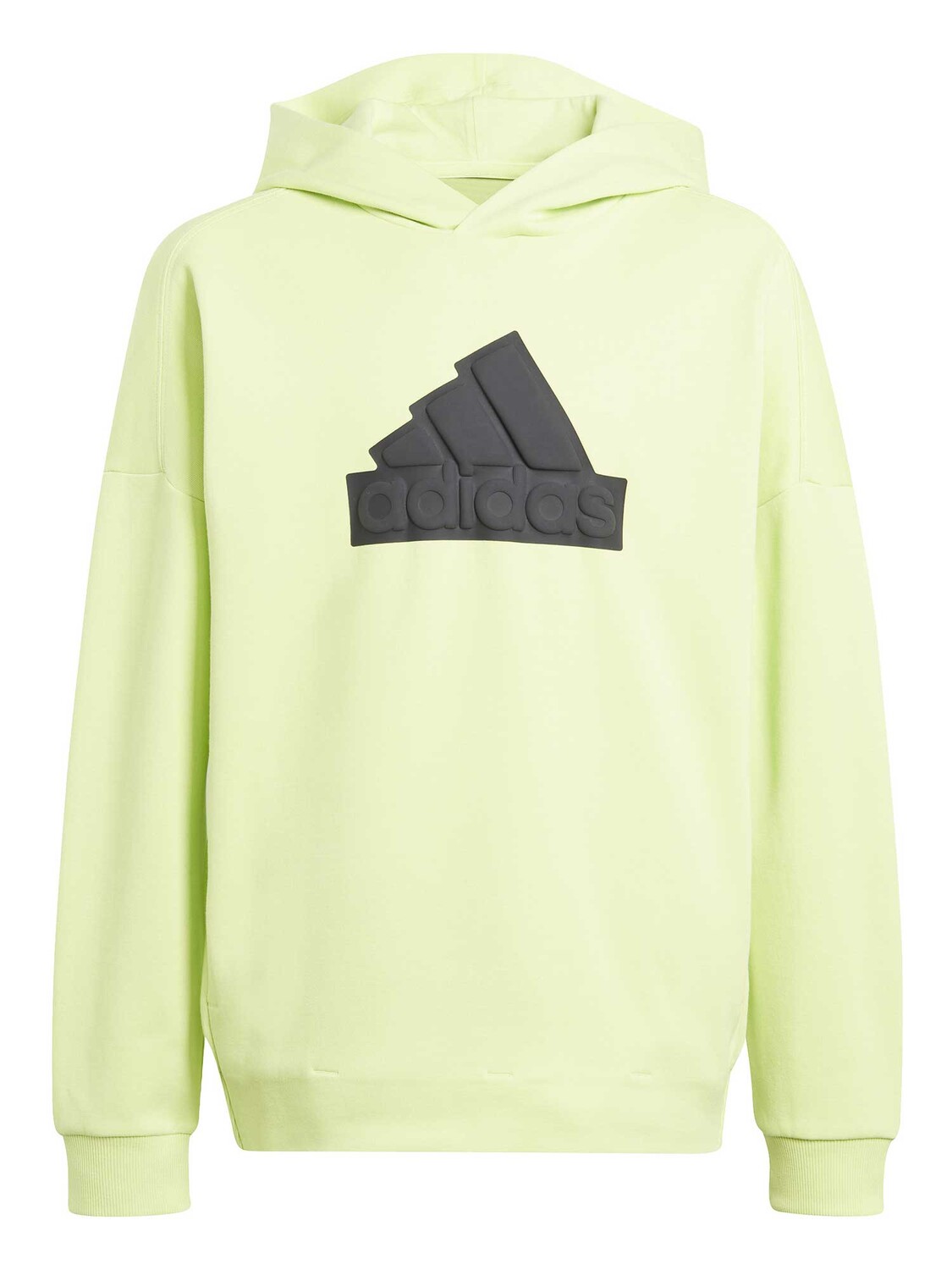 

Толстовка Adidas Sportswear Future Icons Logo Hoodie, зеленый