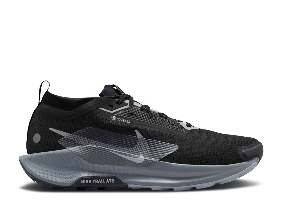 

Кроссовки Nike Pegasus Trail 5 GORE TEX, цвет Black Wolf Grey