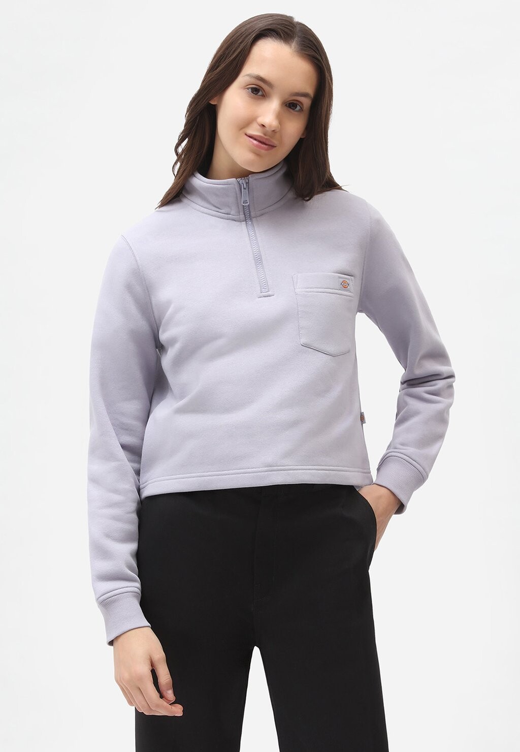 

Толстовка Dickies