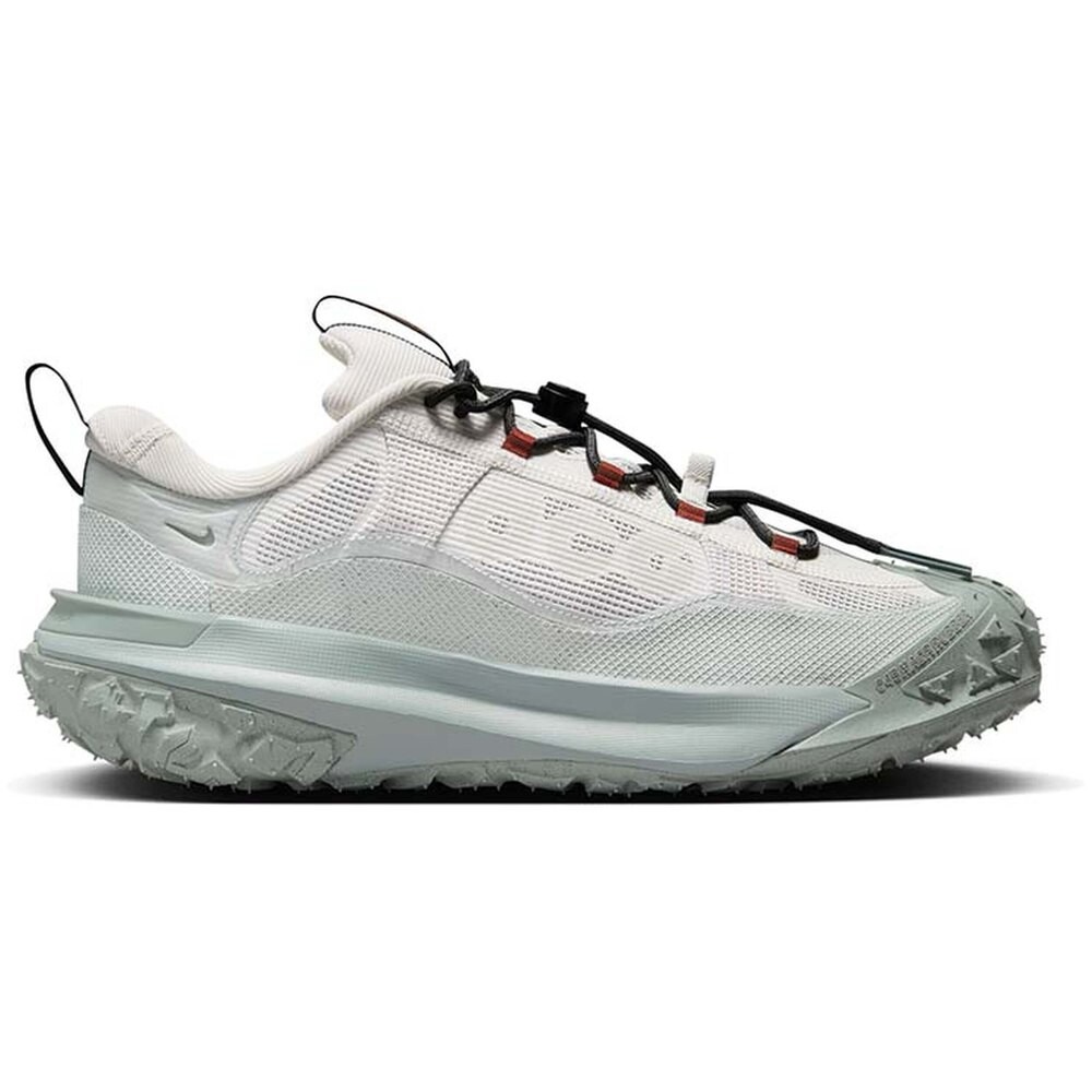 

Кроссовки Nike Acg Mountain Fly 2 Low Gore-Tex , белый, Серый