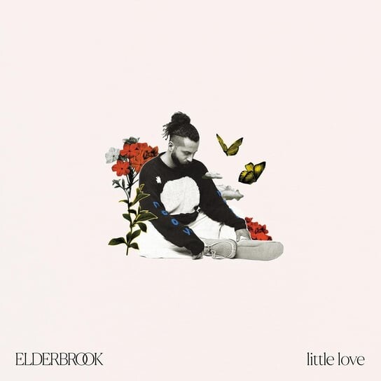 

Виниловая пластинка Elderbrook - Little Love (цветной винил)