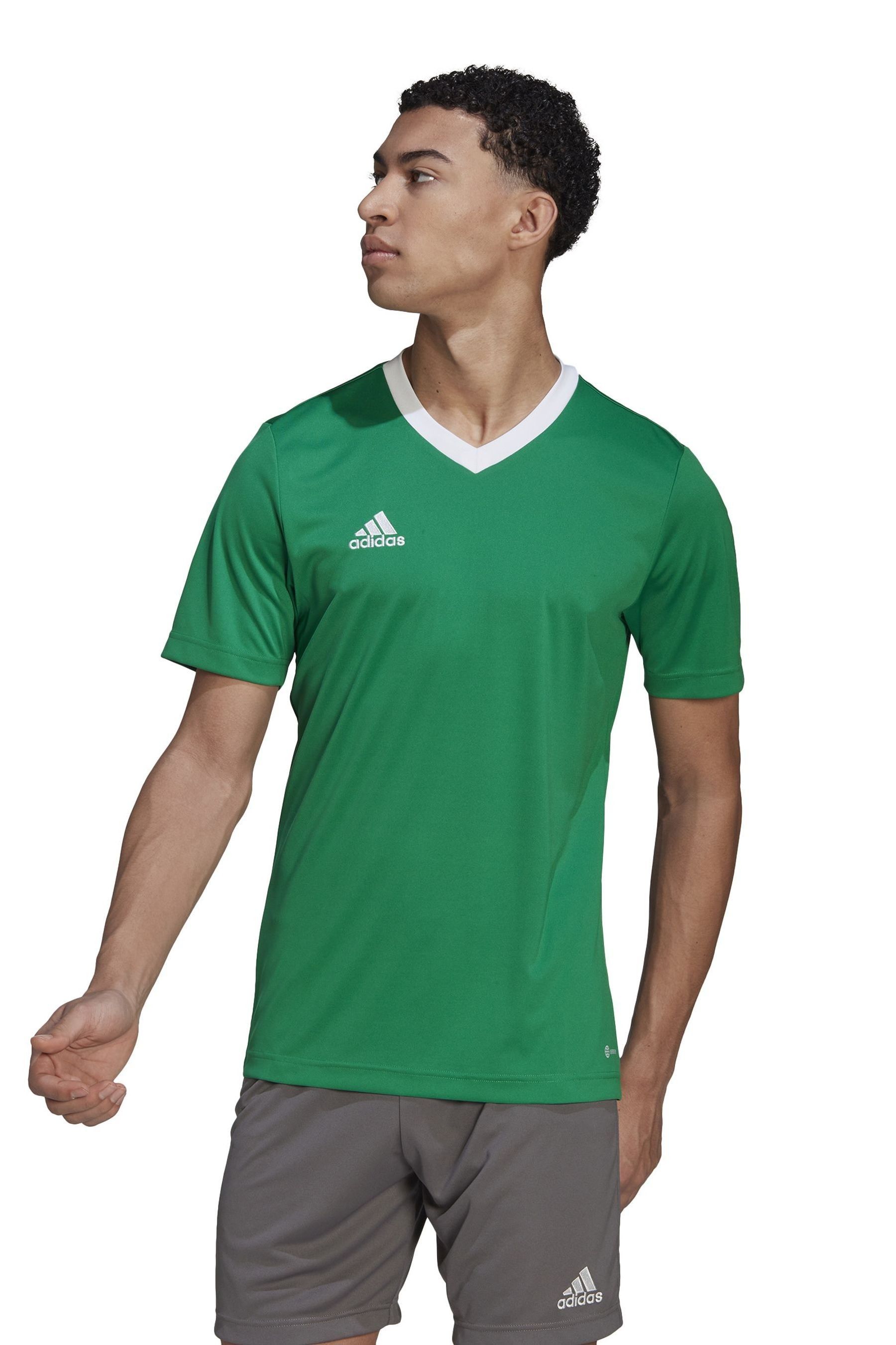 Футболка Энтрада 22 adidas, зеленый