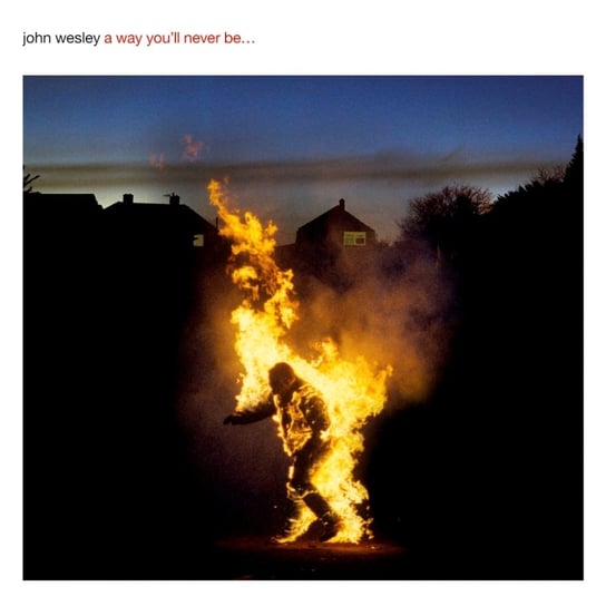 Виниловая пластинка Wesley John - A Way You’ll Never Be