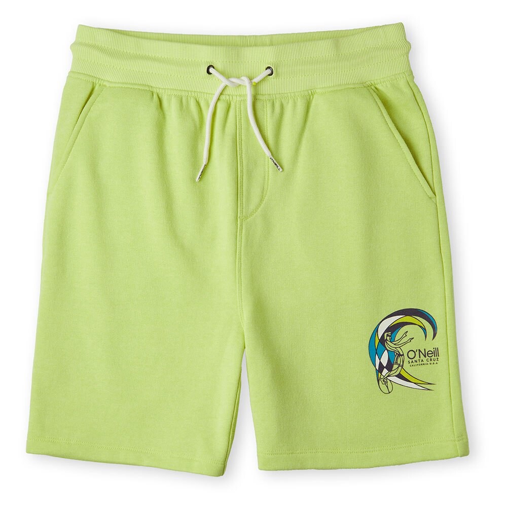 

Джоггеры O´neill Circle Surfer Shorts, зеленый