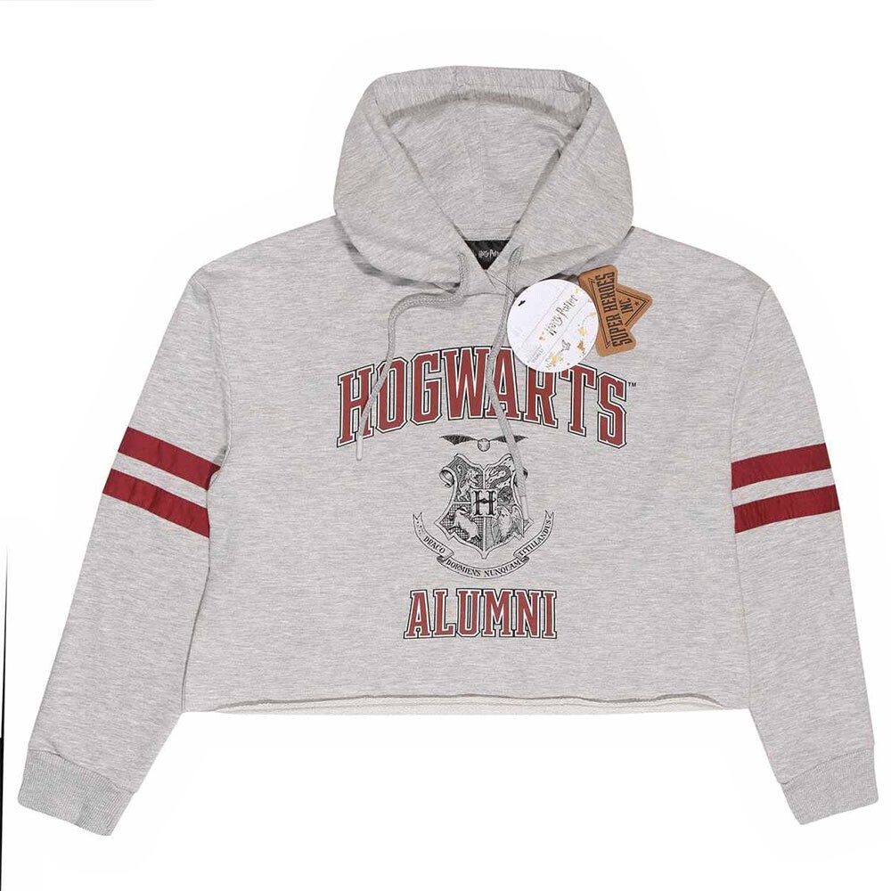 

Толстовка Heroes Official Harry Potter Hogwarts Alumni, серый