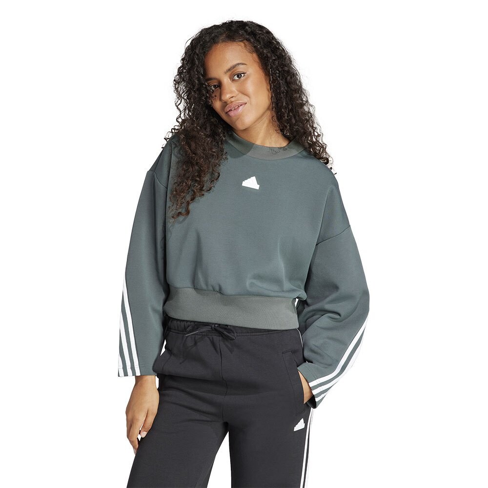 

Толстовка adidas Future Icons 3 Stripes, серый