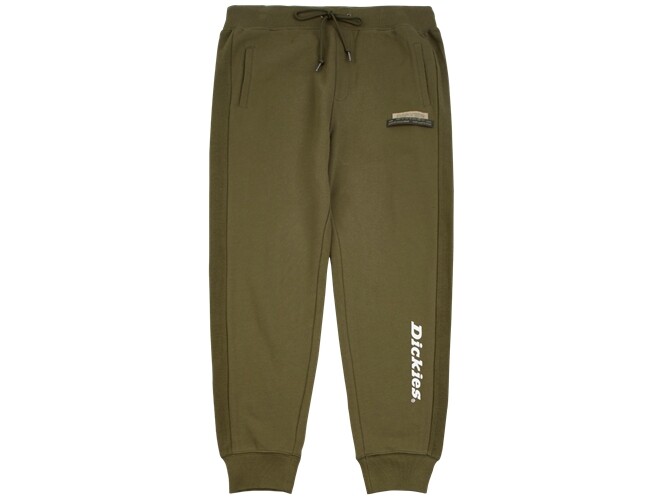 

Трикотажные спортивные штаны мужские зеленые Dickies, зеленый