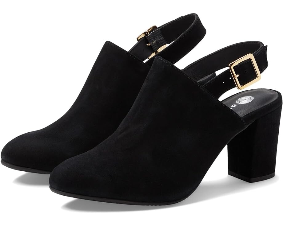 

Туфли Eric Michael Blanche, цвет Black Suede