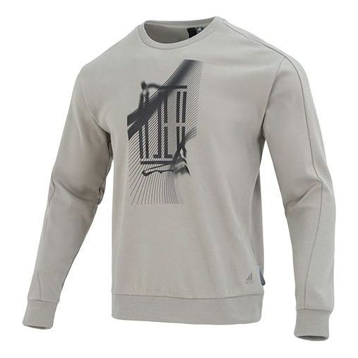 Толстовка adidas Martial Arts Series Pattern Printing Sweatshirt Men's Grey, серый