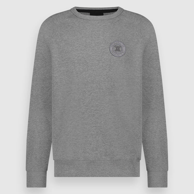 

Толстовка Twinlife Raglan Sibbe, серый