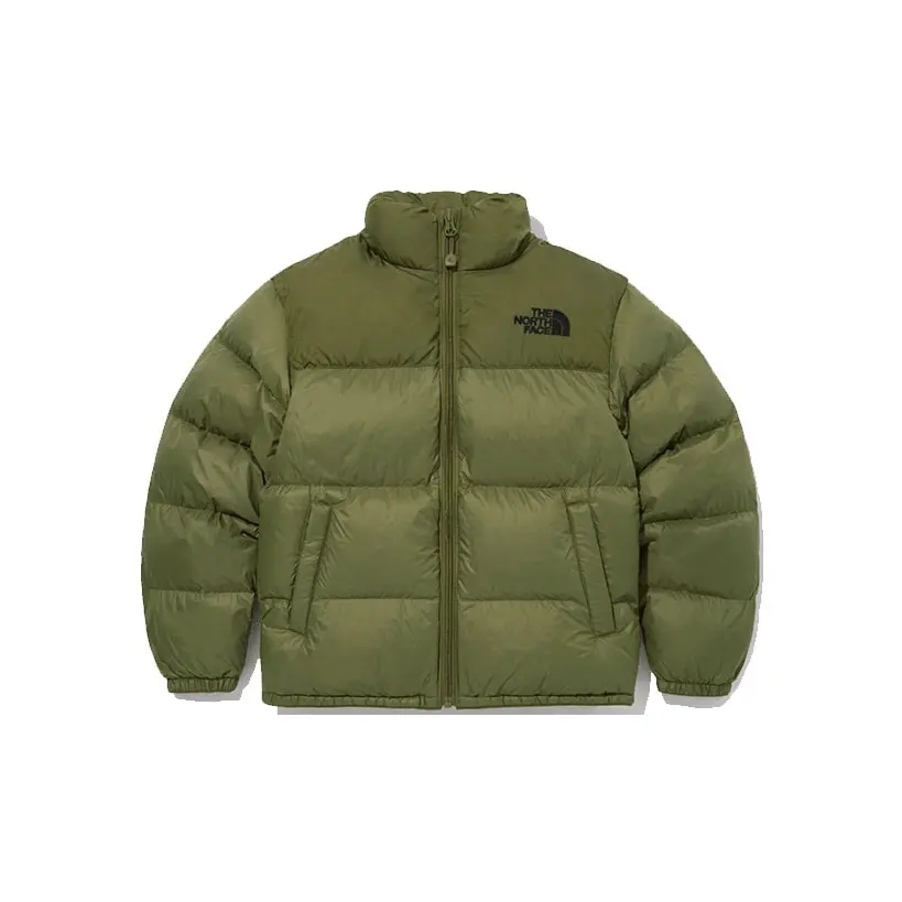 

Куртка унисекс зеленая The North Face, зеленый