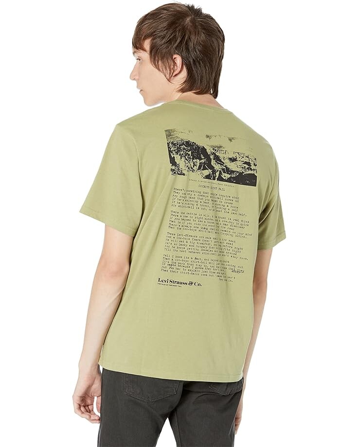 

Футболка Levi's Premium Short Sleeve Relaxed Fit Tee, цвет Shirt Tail Cedar