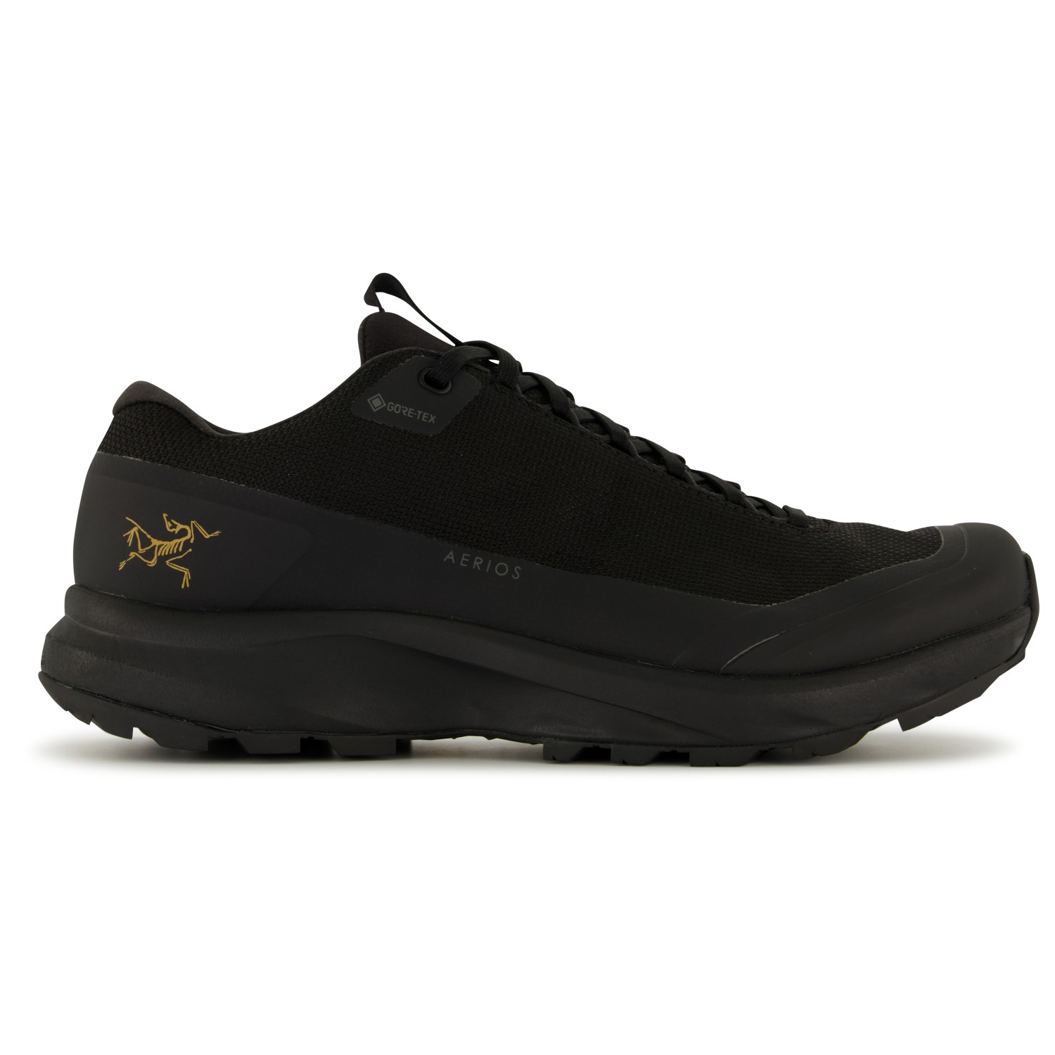 Мультиспортивная обувь Arc'Teryx Women's Aerios FL 2 GTX, цвет Black/Black