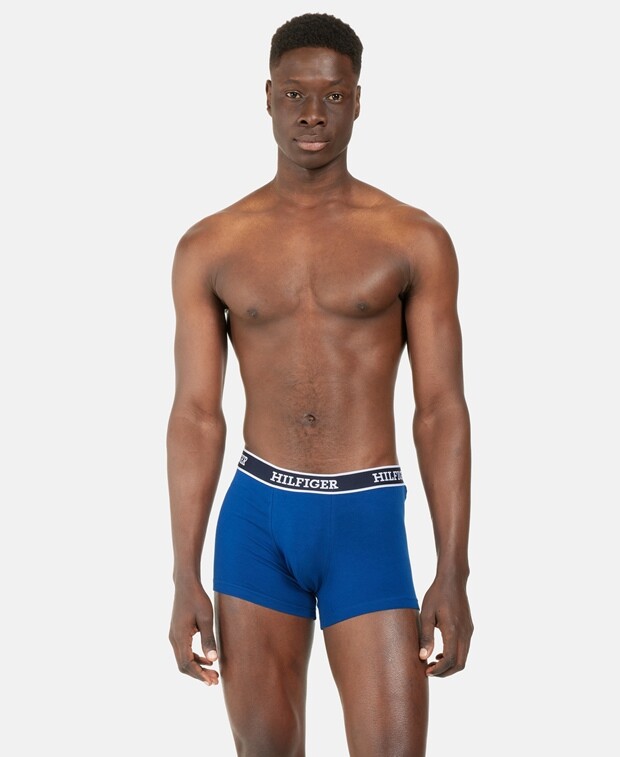

Боксеры, комплект из 3 шт. Tommy Hilfiger, светло-синий