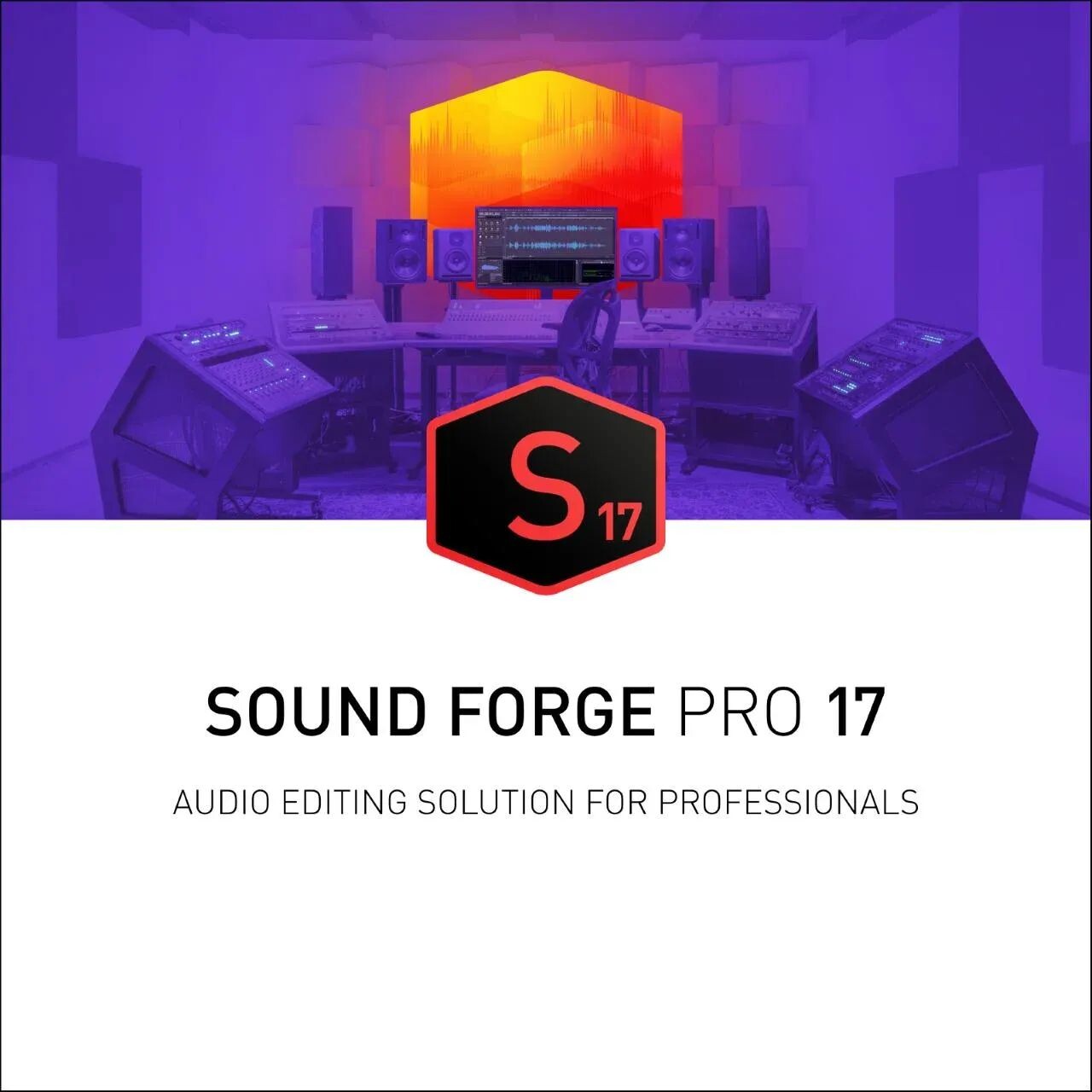 

MAGIX Sound Forge Pro 17 для Windows
