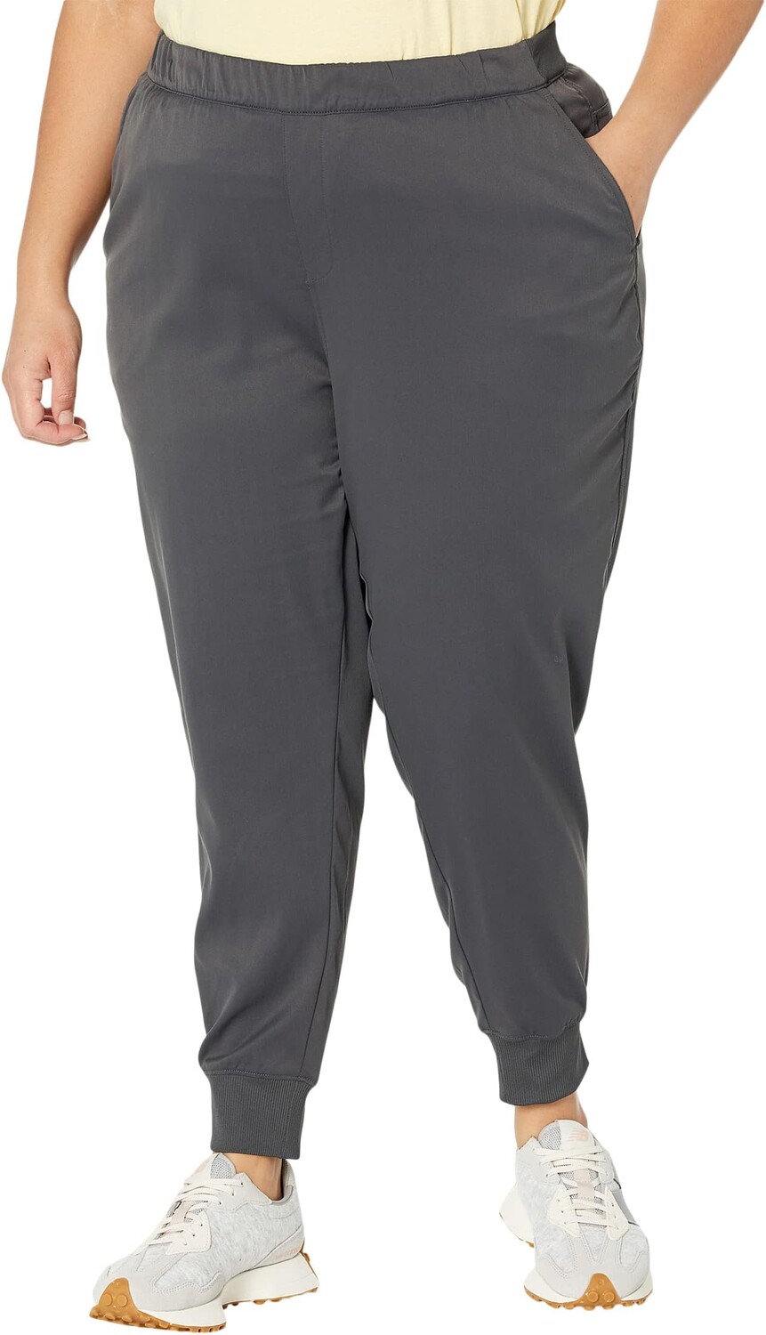 

Джоггеры больших размеров Aphrodite The North Face, цвет Asphalt Grey