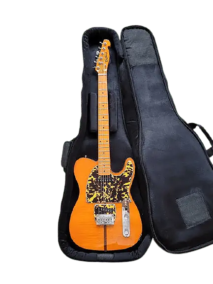 

Электрогитара Eastwood Artist Series Mad Cat Flame Maple Top Ash Body Maple Neck 6-String Electric Guitar w/Premium Soft Case