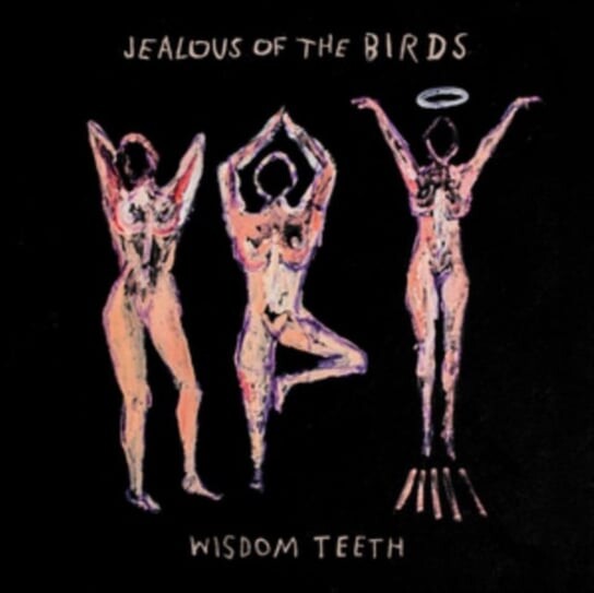

Виниловая пластинка Jealous Of The Birds - Wisdom Teeth