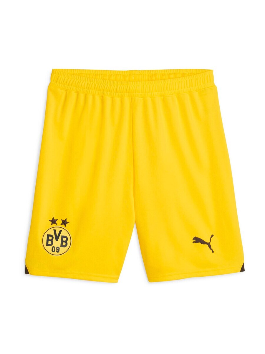 

Тренировочные брюки Puma BORUSSIA DORTMUND, желтый