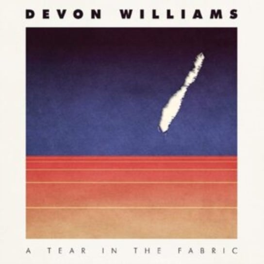 Виниловая пластинка Devon Williams - A Tear in the Fabric sansom ian death in devon