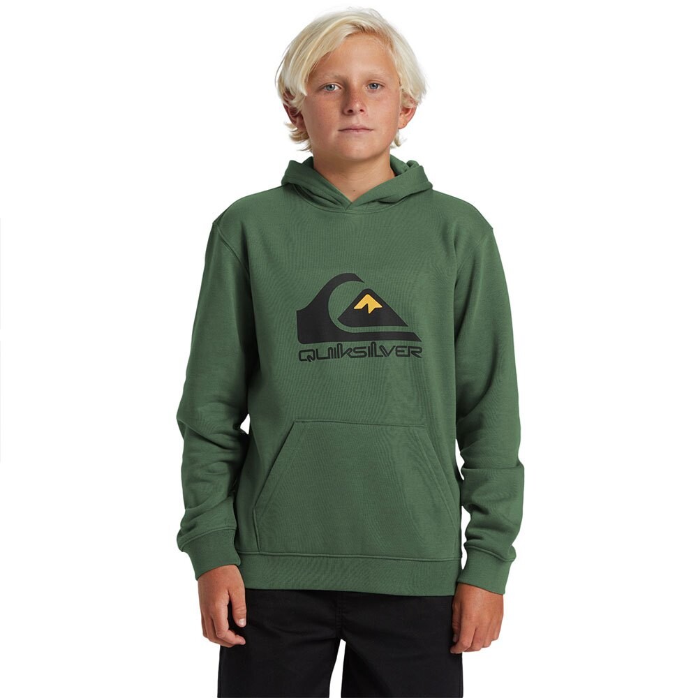 

Худи Quiksilver Big Logo, зеленый