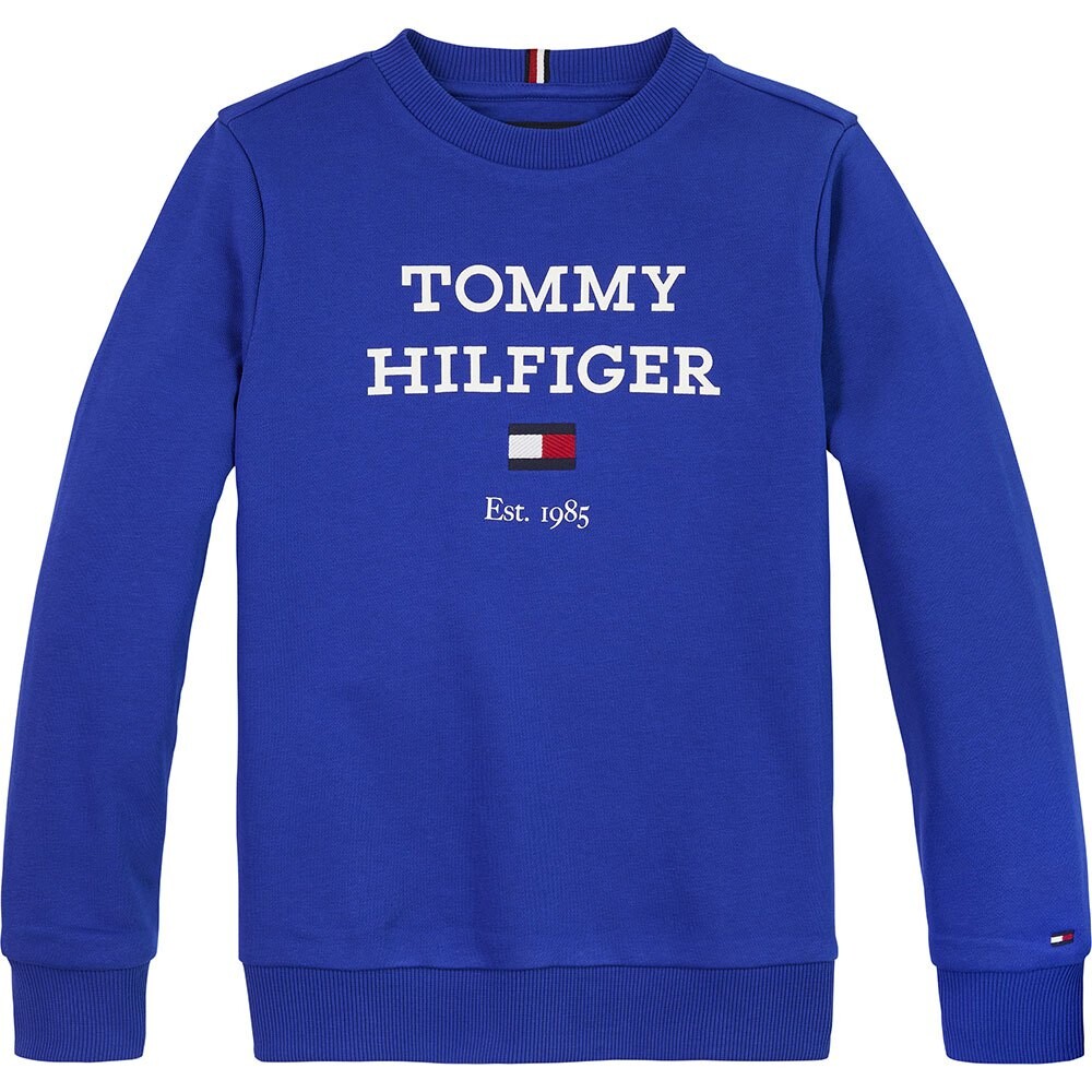

Толстовка Tommy Hilfiger KB0KB08713, синий