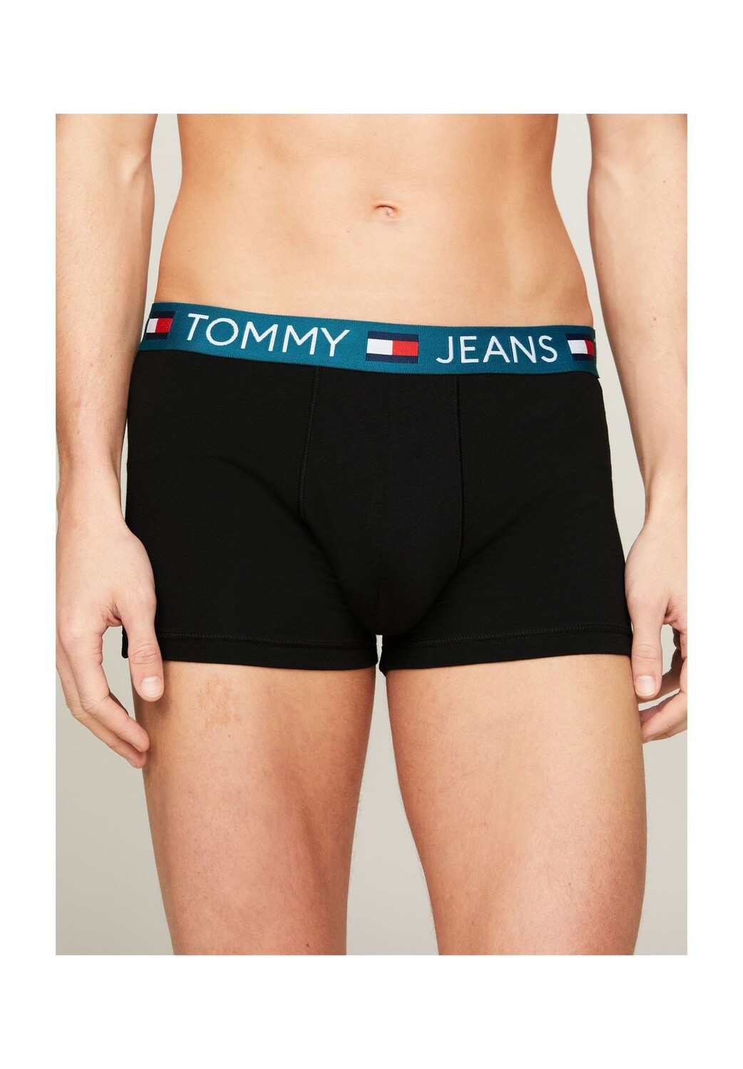 

Трусы, 3 пары, мужские с нашивкой-логотипом TOMMY HILFIGER, цвет Heat Tmlss