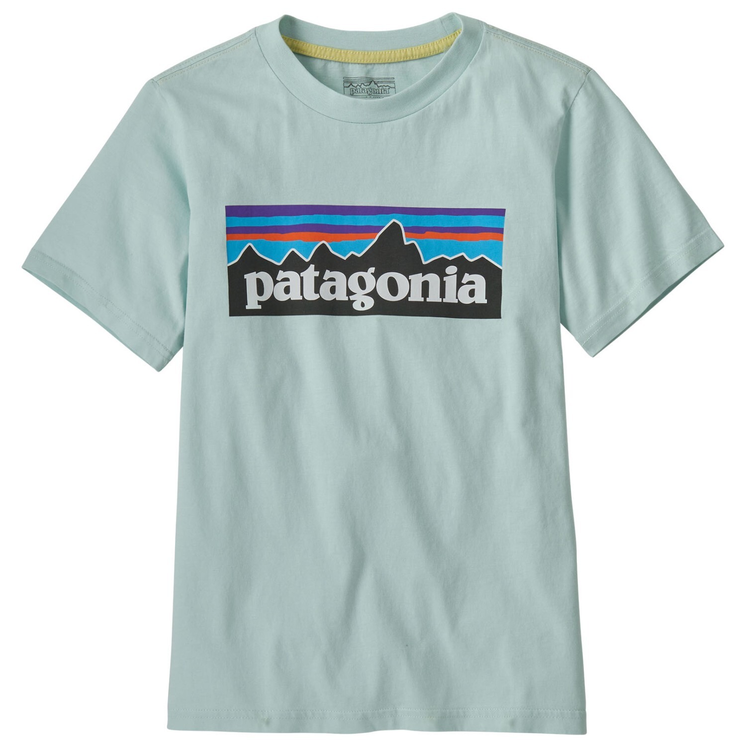 

Футболка Patagonia Kid's P 6 Logo, цвет Wispy Green, Серый