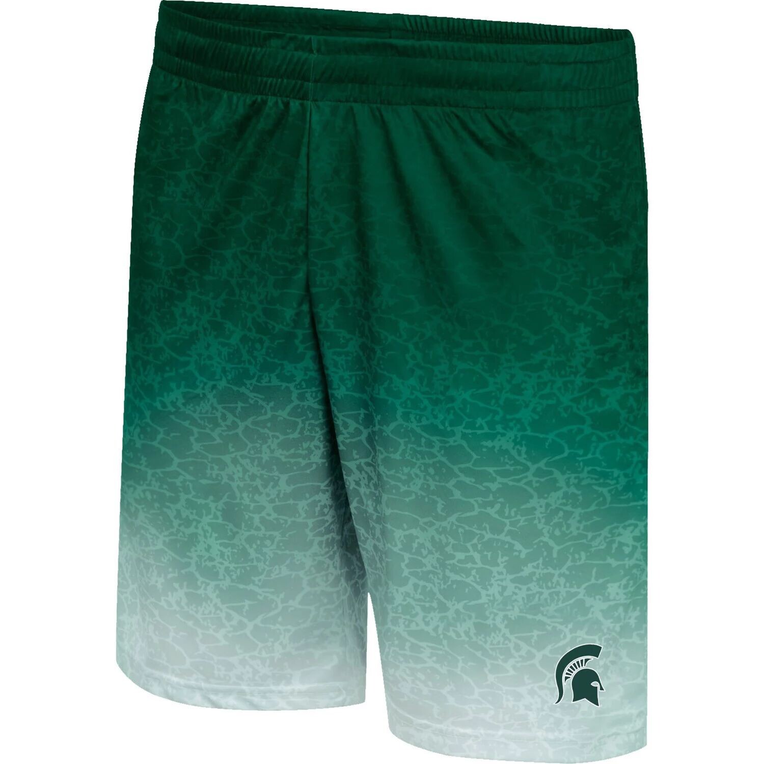 

Мужские зеленые шорты Walter Michigan State Spartans Colosseum